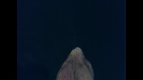 Snapshot of cutieguy86 chatting on 10.26.25 CutieBoy online show from 10.26.25