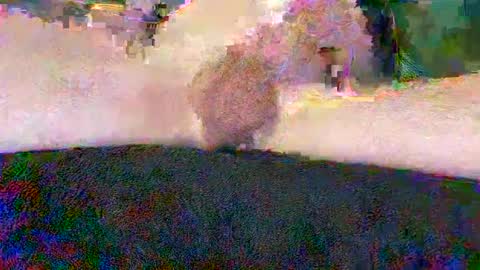 Snapshot of cwaddle chatting on 01.10.25 cwaddle online show from 01.10.25