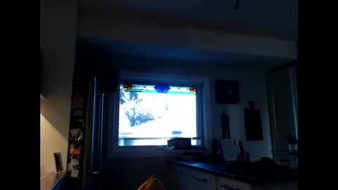 Snapshot of cxcdn chatting on 01.22.25 cxcdn online show from 01.22.25