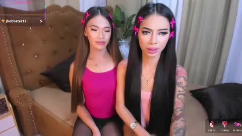 Cy online show from 02.20.26