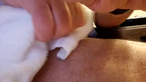 daaavy11 online show from 02.19.26