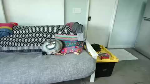 bas online show from 10.27.25