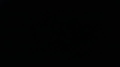 Snapshot of daddydick6969twin77 chatting on 11.16.25 DDick online show from 11.16.25