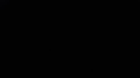 Snapshot of daddydick6969twin77 chatting on 11.29.25 DDick online show from 11.29.25