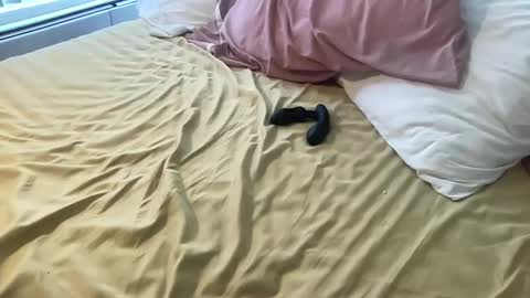 dadstrokin online show from 03.08.26