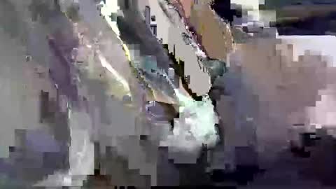 GIANT  Lamar  72 ft  tall  with a  10 inches  BBC   hard quick cumshot in private show lets go online show from 03.26.26