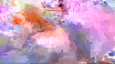 dafo1980 online show from 04.20.26