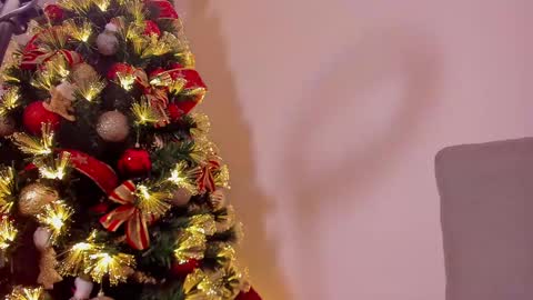 Snapshot of dahliabrowniee chatting on 12.21.24 Dahli online show from 12.21.24