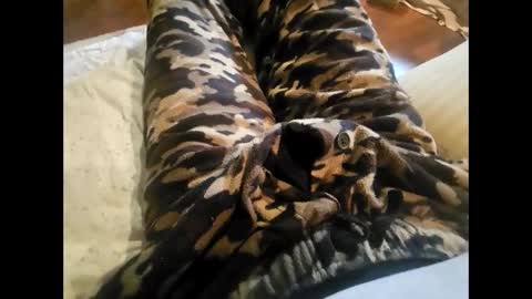 Snapshot of dailyjerker84 chatting on 11.23.25 DailyJerker84 online show from 11.23.25