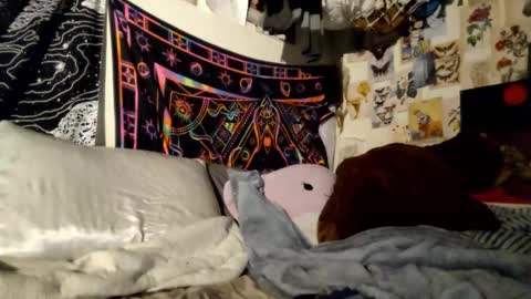 Snapshot of daintydarlingxoxo chatting on 02.21.25 DaintyDarling online show from 02.21.25