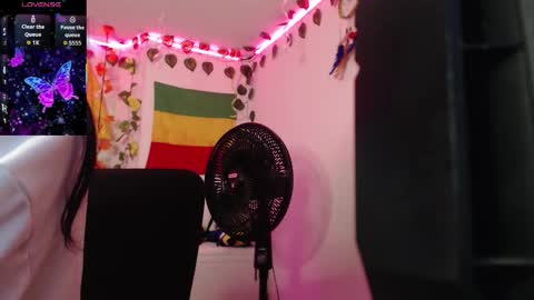 Dakko online show from 01.08.26