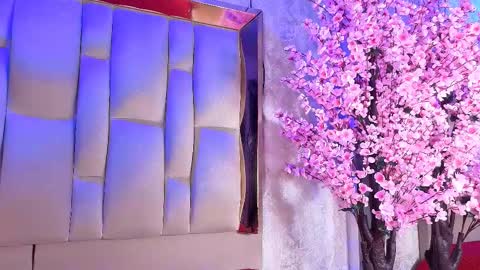 Dakota online show from 03.28.26