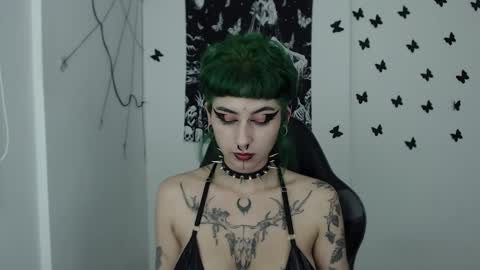 dakota online show from 12.07.24