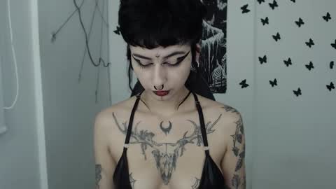 dakota online show from 01.31.25