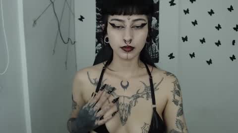 dakota online show from 02.14.25