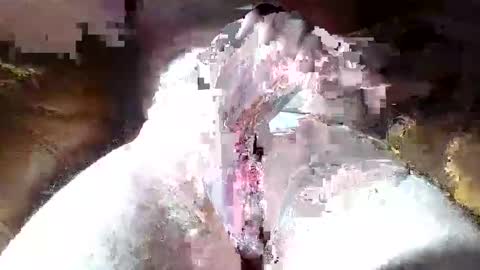 dalamud48 online show from 03.27.26