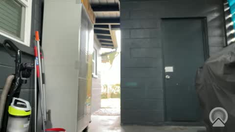 Clyde online show from 11.09.25