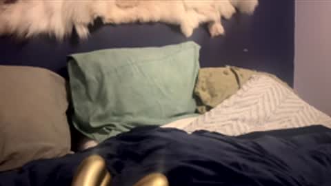 Snapshot of damontsi chatting on 02.24.26 damontsi online show from 02.24.26