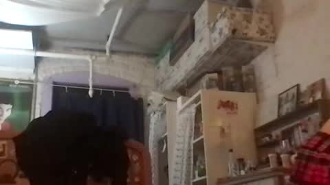 Snapshot of danceissexisbeauty2 chatting on 12.04.24 Your submissive patient online show from 12.04.24