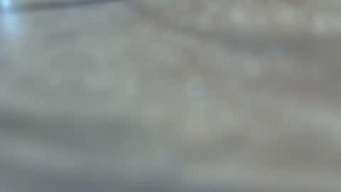 dancewhenyoucan9 online show from 12.22.25