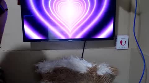 Snapshot of danica_wild chatting on 05.15.26 Danica online show from 05.15.26