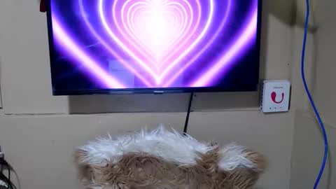 Snapshot of danica_wild chatting on 05.15.26 Danica online show from 05.15.26