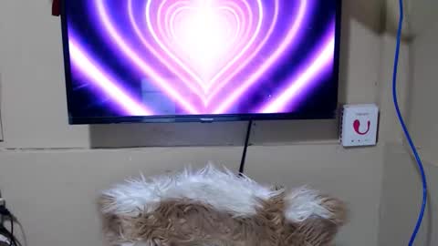 Snapshot of danica_wild chatting on 05.15.26 Danica online show from 05.15.26