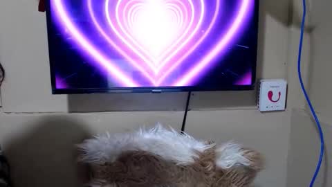Snapshot of danica_wild chatting on 05.15.26 Danica online show from 05.15.26