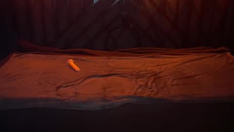 danielareign online show from 12.20.25