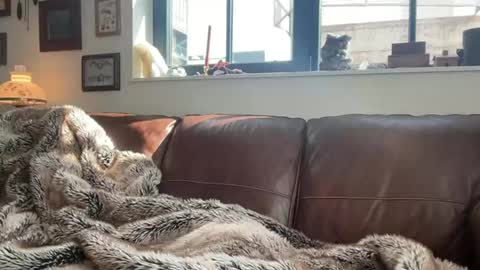 Daniel Bishop  Mason online show from 03.01.26