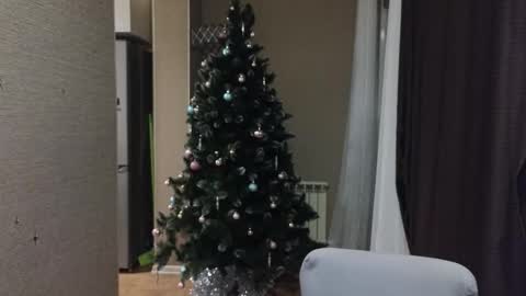 Snapshot of danila_trezzini chatting on 01.18.26 danila online show from 01.18.26