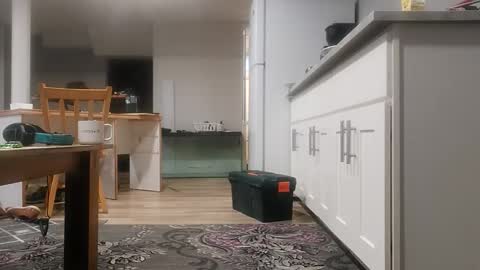 danimal5000 online show from 11.18.25