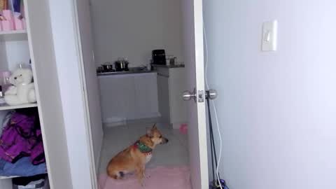 Danna Rhodes online show from 11.30.25