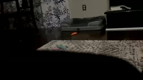 Snapshot of dannyboy621 chatting on 10.20.25 dannyboy621 online show from 10.20.25