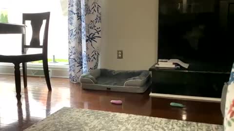 Snapshot of dannyboy621 chatting on 10.25.25 dannyboy621 online show from 10.25.25