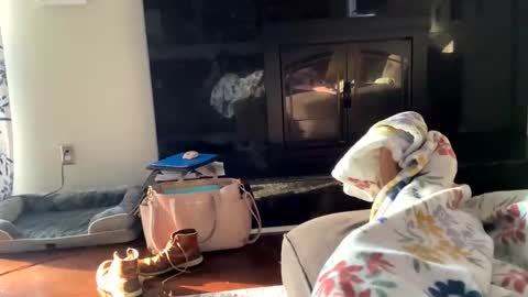 Snapshot of dannyboy621 chatting on 11.02.25 dannyboy621 online show from 11.02.25