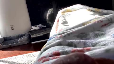 Snapshot of dannyboy621 chatting on 11.06.25 dannyboy621 online show from 11.06.25