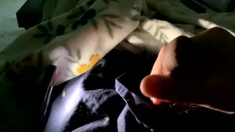 Snapshot of dannyboy621 chatting on 11.09.25 dannyboy621 online show from 11.09.25