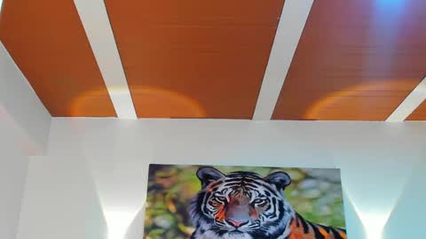 DANTE online show from 03.06.25