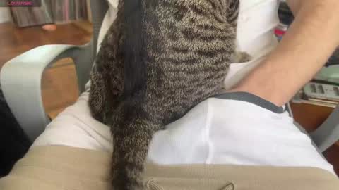 Snapshot of danteslife chatting on 01.24.25 Dante online show from 01.24.25