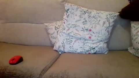 danydotado online show from 12.21.24