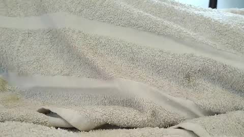 dapppper online show from 09.18.25