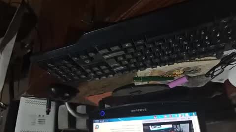 dario48 online show from 11.03.25