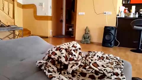 dxd69 online show from 04.22.26