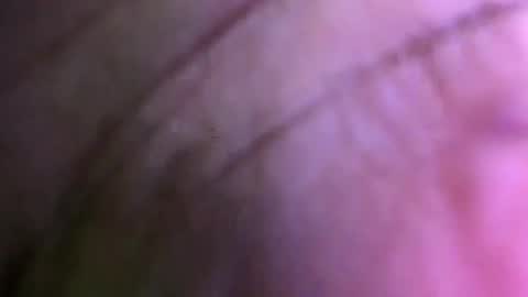 Snapshot of dasa_david1993 chatting on 04.28.26 dasa_david1993 online show from 04.28.26