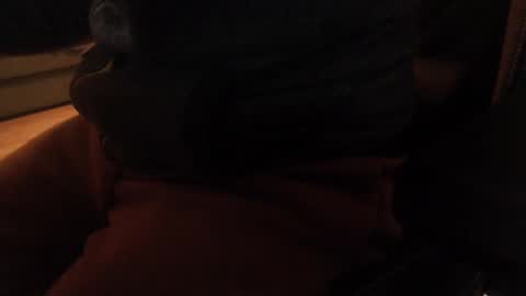 davdao3 online show from 12.20.24