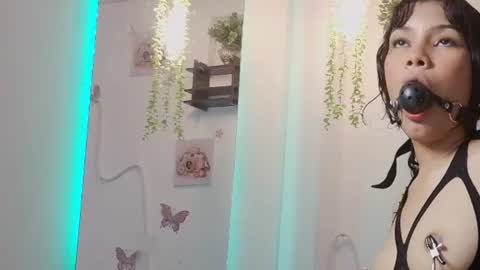 Davi online show from 06.11.26