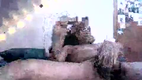 Snapshot of david69992347976413 chatting on 02.16.25 David Berry online show from 02.16.25