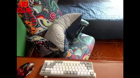 David online show from 02.07.26