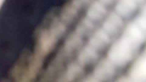 Snapshot of david_stone1969 chatting on 01.23.25 david_stone1969 online show from 01.23.25